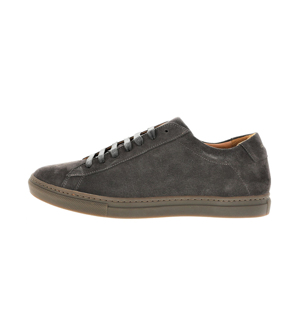 men sneaker in antra suede leather | camino 71