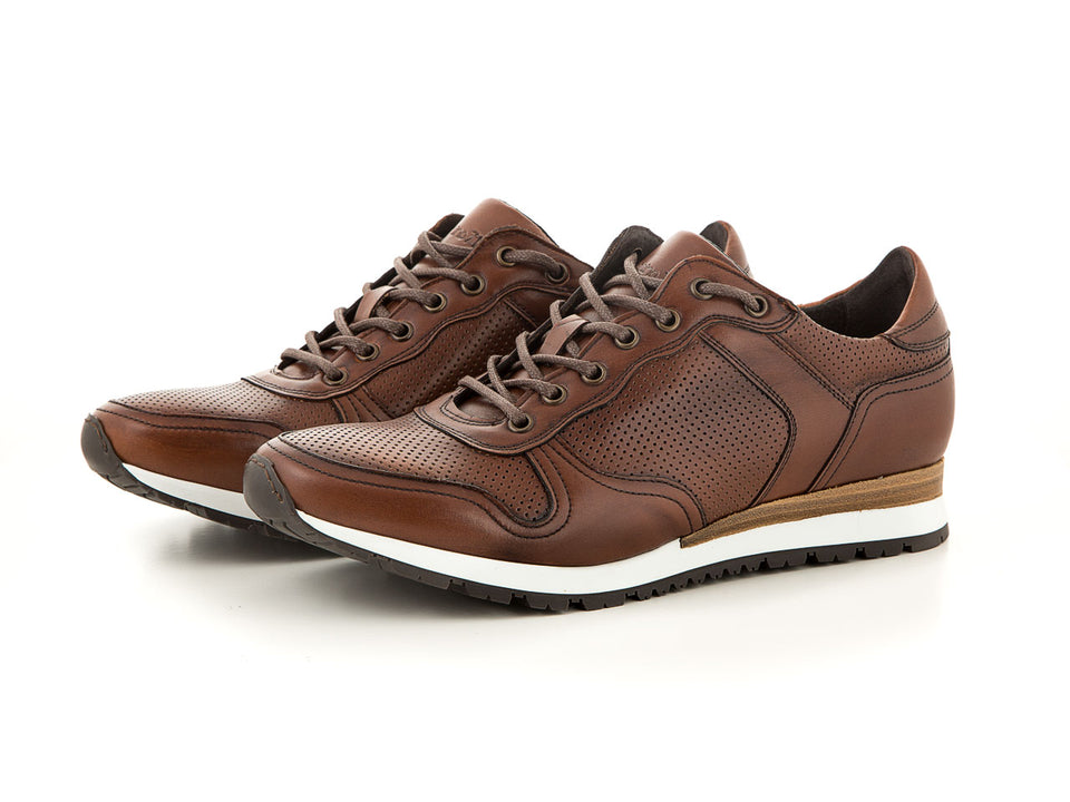Elegant and sporty brown sneaker for men| camino71